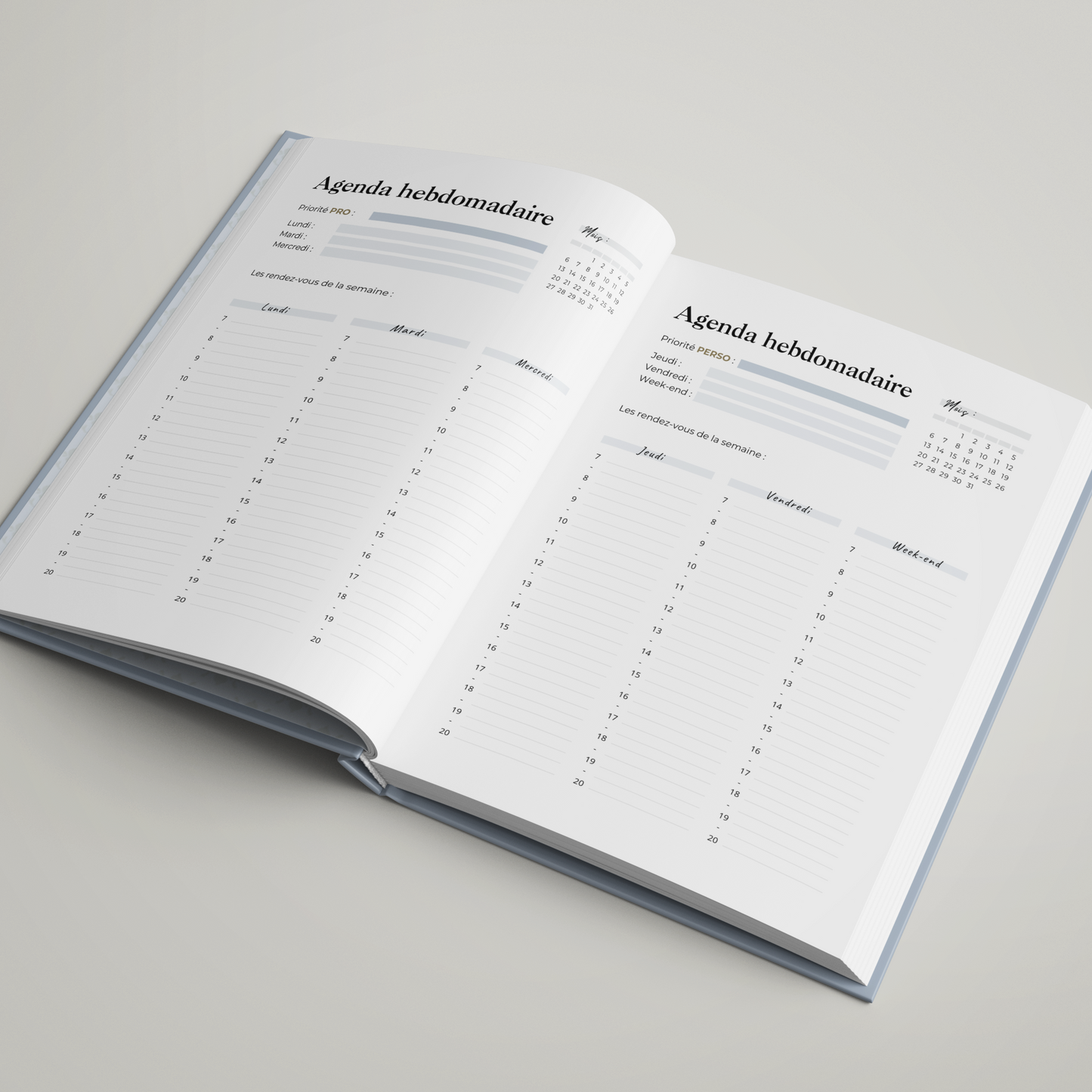 Mon agenda d'entrepreneur